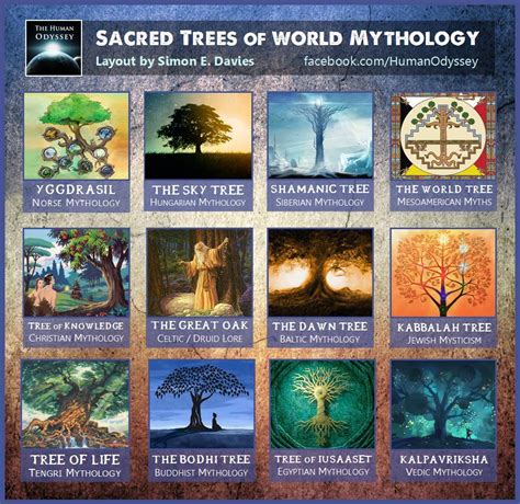 The Sacred Forests: Home to Magic Trees